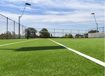 When It’s Amazing Turf Offering You with Products